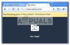 ôChrome win7 shockwave flash